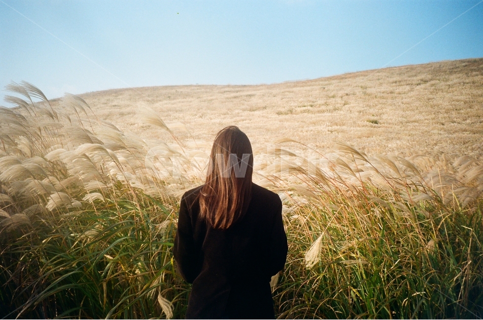 새별오름,억새,제주오름,풍경,여자,필름사진,하늘,뒷모습,가을,외로움,가을,계절,fall,autumn,season,자연,풍경,nature,landscape,사람,인물,인간,human,person,여성,여자,woman,female,lady,감성,sensible,feeling,고독함,외로움,쓸쓸함,우울함,슬픔,lonely,solitary,grass,잔디,plant,식물