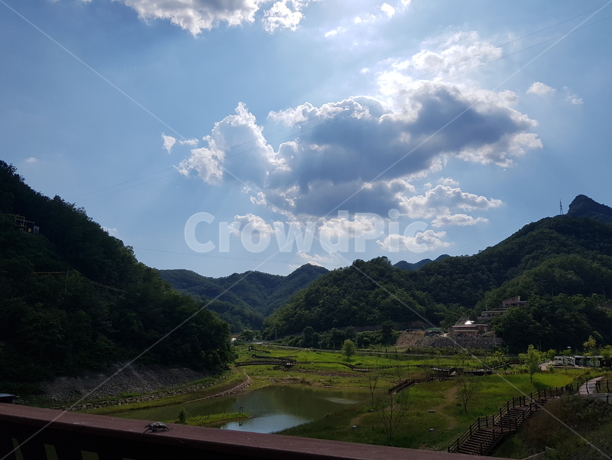하늘,구름,빛,공원,자연,나무,푸른,푸름,빛무리,햇빛