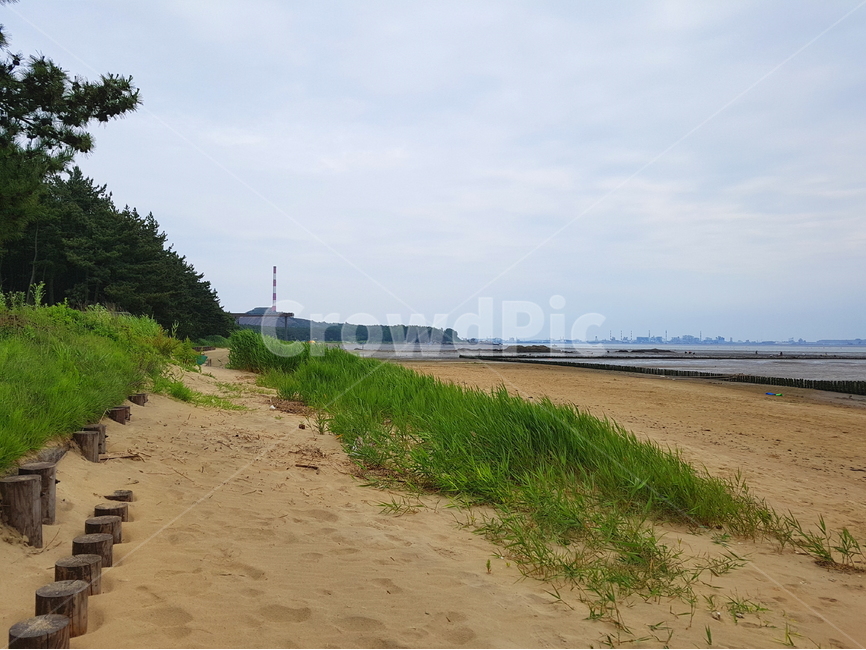 백사장,제련소,굴뚝,모래사장,모래의날,바다풀,먹구름,하늘,흐린날,소나무,갯벌,부드러운모래,송림,자연,바다,서해바다,황해바다,ocean,sand,nature,tree,자연,풍경,nature,landscape,outdoors,옥외