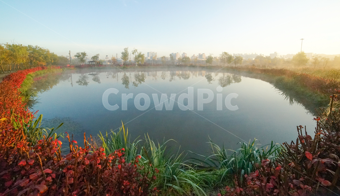 호수,저수지,계절,가을,안개,물안개,새벽,여명,가을,계절,fall,autumn,season,water,물,nature,자연,outdoors,옥외,land,땅