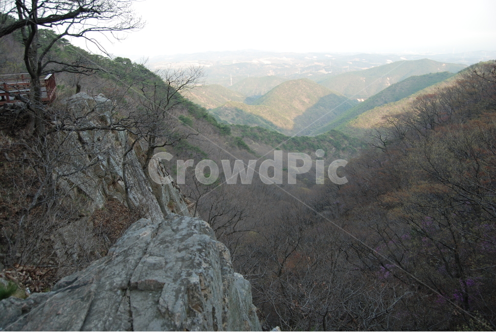 대운산,봄,자연휴양림,탐방로,공원,자연,풍경,nature,landscape,한국자연풍경,한국자연경관,korea nature landscape,outdoors,옥외,mountain,산