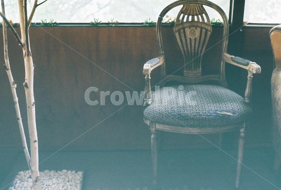 의자,벽,창문,나무,화분,낡은,빈티지,아늑한,편안한,찢어진,바랜,chair,tree,pot,old,vintage,window,빈티지사진,빈티지느낌,빈티지감성,vintage