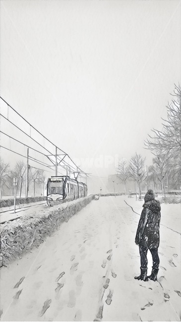 겨울,네덜란드,해외여행,열차,하얀,발자국,뒷모습,기차,겨울,계절,winter,season