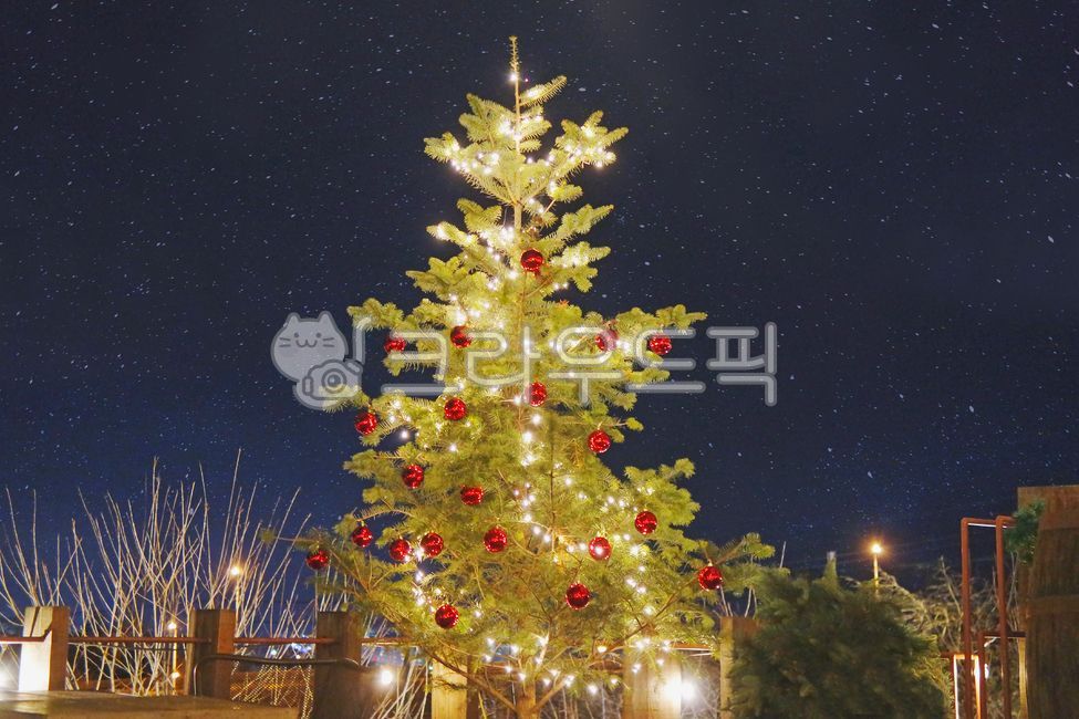 크리스마스,인테리어,트리,크리스마스트리,christmas,christmastree,light,christmastree,장식,ornament,lighting,조명,식물,plant,크리스마스트리,하늘,밤하늘,야경,밤,풍경,nightscape,night,landscape,메리크리스마스,성탄절,merry christmas