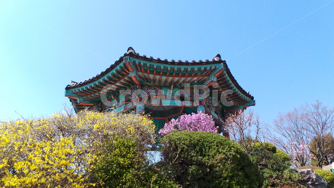 정자,기와,전통건축,단청,문양,무늬,행주산성