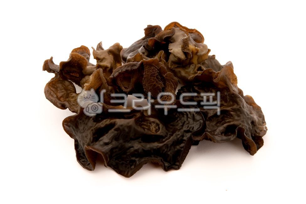 버섯,목이버섯,담자균류,생목이,음식,식재료,요리,blackmushroom,woodear,food,cook,meal,dishes