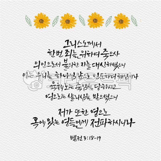 paragraph, Catholic, Callie, Calligraphy, Bible - Authentic Korean ...