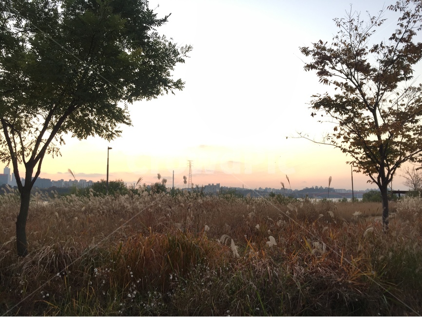 일몰,한강,해질녘,노을,풍경,자연,풍경,nature,landscape,outdoors,옥외