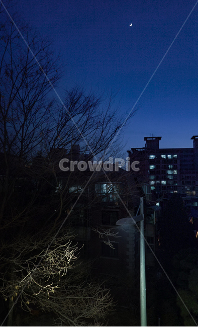 밤,가로등,달,아파트,어두움,야경,밤,풍경,nightscape,night,landscape,도시,city,한국도시풍경,한국도시경관,korea cityscape,nature,자연,outdoors,옥외