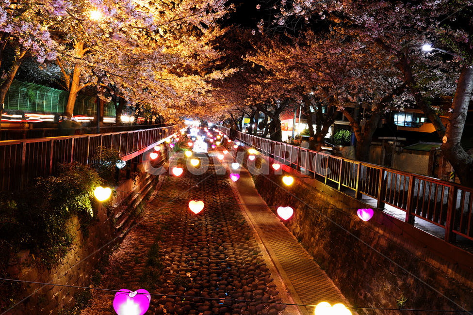 진해,여좌천,벚꽃축제,군항제,하트,반영,우산,봄,계절,springseason,야경,밤,풍경,nightscape,nightlandscape,축제행사,festivalcarnivalevent,감성,sensiblefeeling,봄,계절,spring,season,야경,밤,풍경,nightscape,night,landscape,축제,행사,festival,carnival,event,night life,나이트 라이프