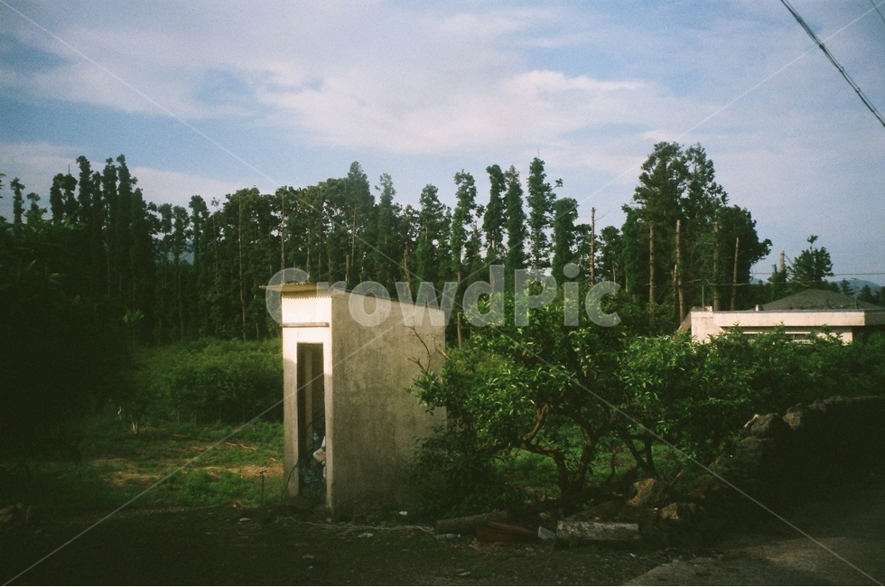 귤밭,제주풍경,과수원,나무,숲,제주,필름사진,하늘,구름,풀밭,시골,자연,풍경,nature,landscape,감성,sensible,feeling,tree,plant,식물,outdoors,옥외,building,건물