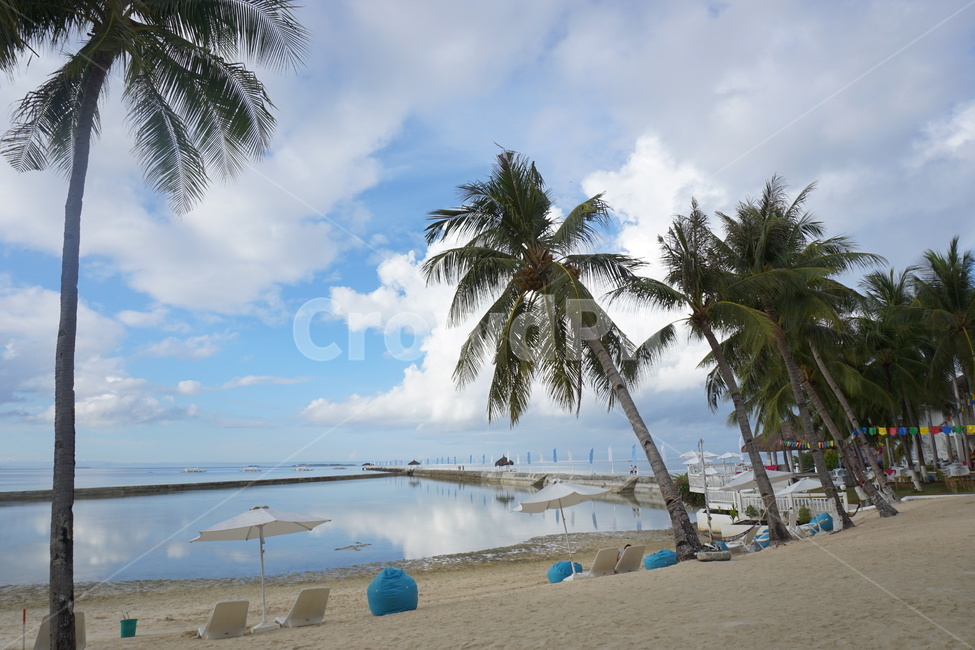 필리핀,세부,cebu,pcr,리조트,바다,수영장