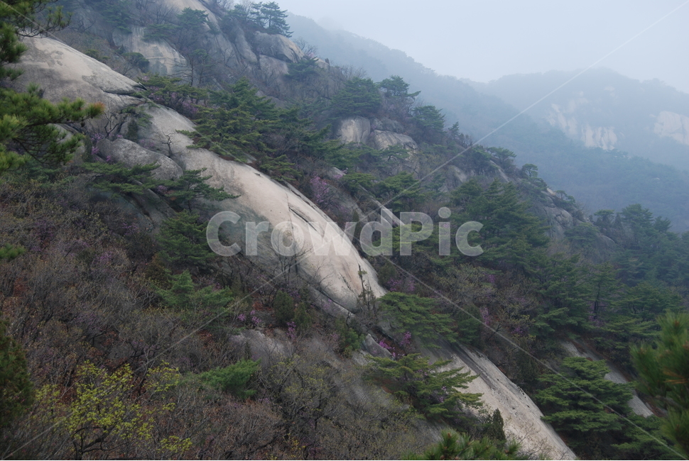 바위,rock,봄,spring,산,자연,자연,풍경,nature,landscape,slope,경사,outdoors,옥외
