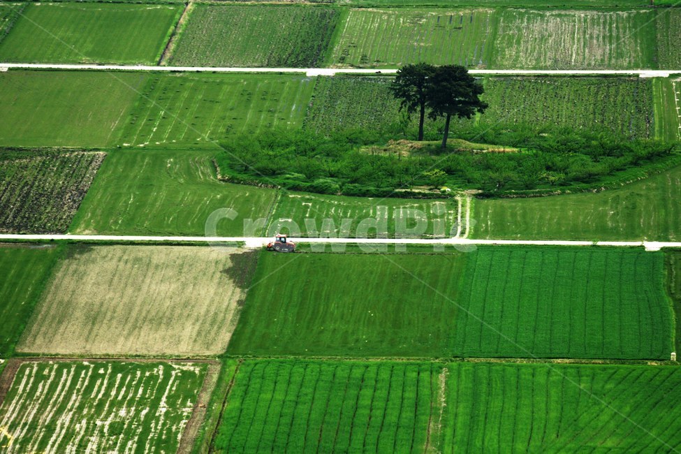 들판,하동,악양,농부,부부송,자연,풍경,nature,landscape,한국자연풍경,한국자연경관,korea nature landscape,산업,industry,industrial,농업,농사,agriculture,farming,farming industry,outdoors,옥외,scenery,경치,field,들