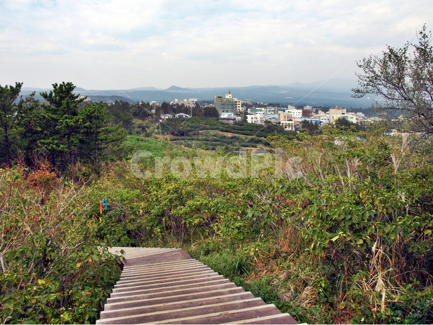 베릿내오름,올레8코스,올레길,제주,서귀포시,제주도,jeju,jeju island,building,건물,boardwalk,산책로,bridge,다리