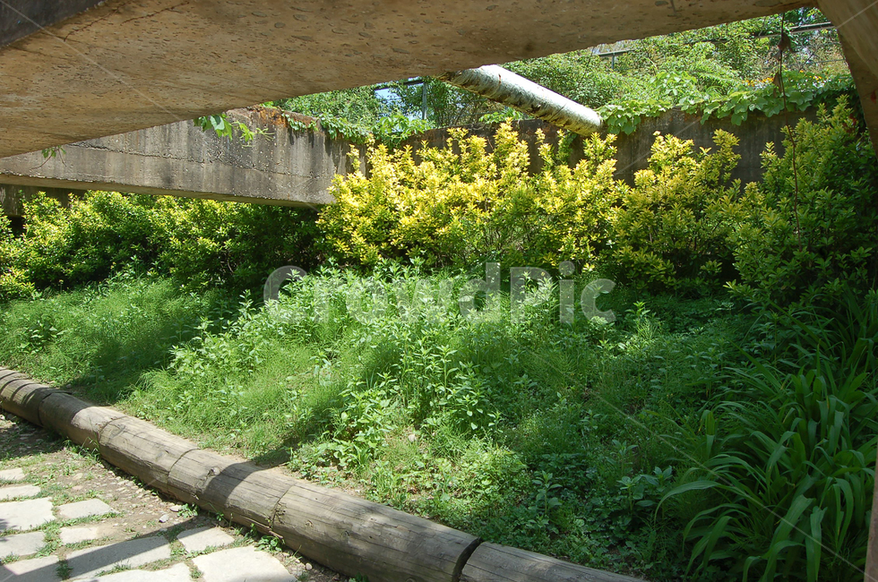 자연,공원,햇살,빛,그림자,plant,garden,정원,식물,outdoors,옥외,pottedplant,화분,꽃,flower,자연,풍경,nature,landscape,jar,항아리,potted plant,pottery,도기류