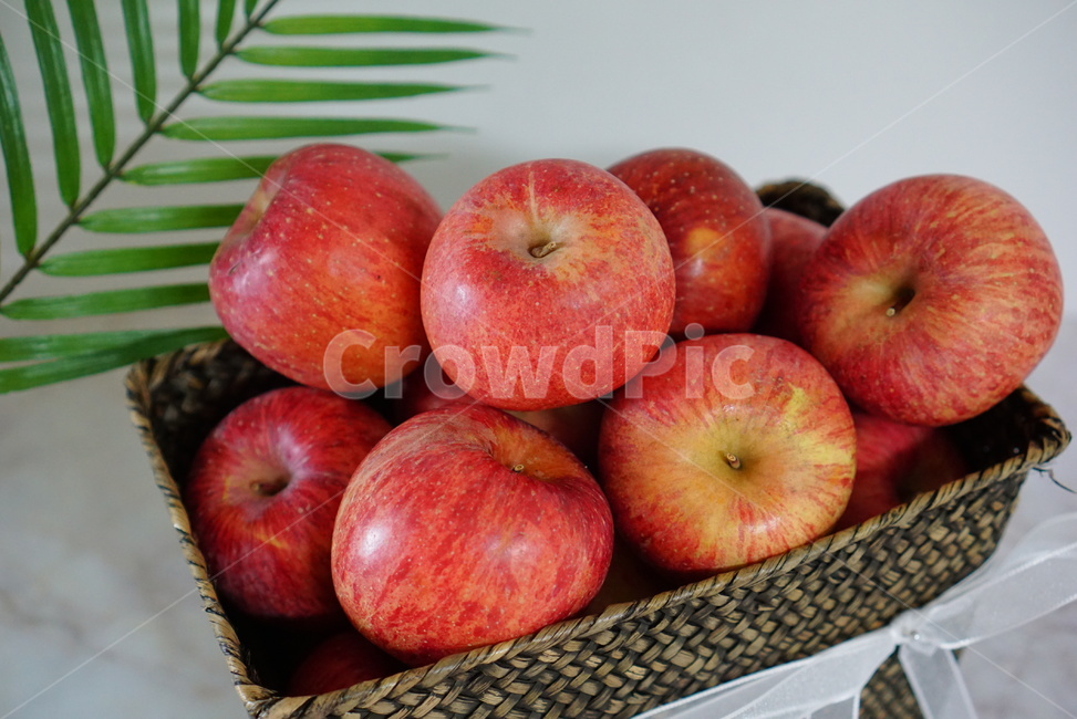 사과,과일,부사,아삭아삭사과,맛있는사과,음식,식재료,요리,food,cook,meal,dishes,food reserves,과일,열매,fruit