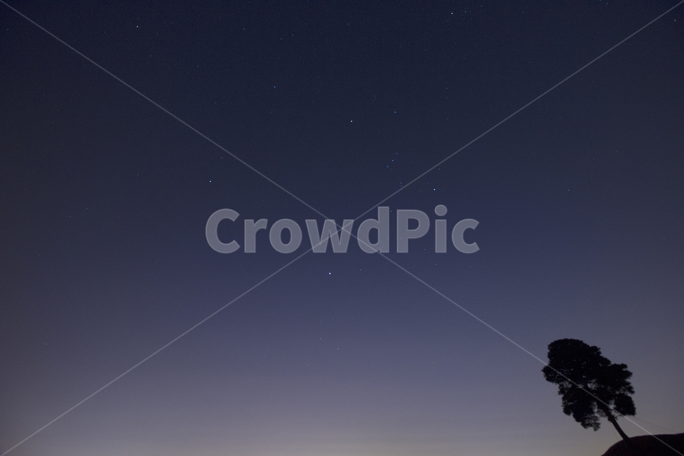 야간,정복동토성,정북토성,밤,나무,밤하늘,자연,풍경,nature,landscape,야경,밤,nightscape,night,식물,plants,나무,trees,wood,outdoors,옥외