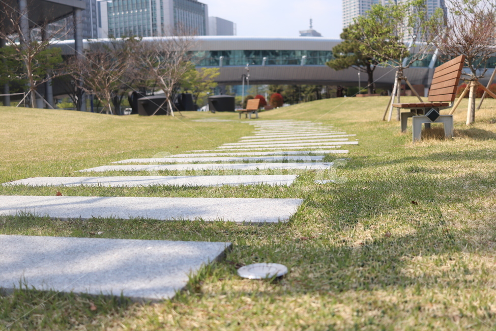 plant,식물,grass,잔디,판석