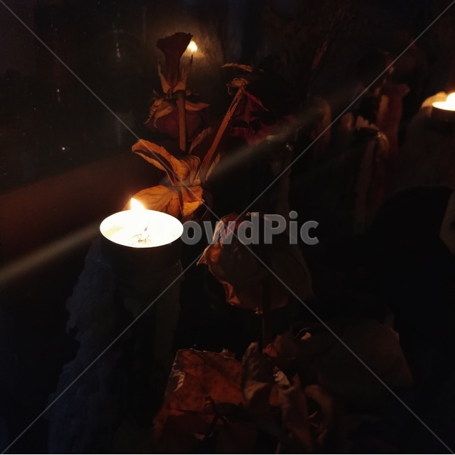 촛불,초,감성,따뜻함,빈티지,장식,장미,rose,candle,vintage,조명,연인,커플,기념일,feeling,emotion,야경,빈티지사진,빈티지느낌,빈티지감성,vintage
