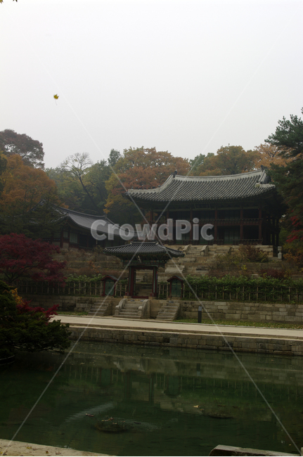창덕궁후원,주합루,부용지,고궁,건축,전통건축,traditional,전통,가을,fall,나무,식물,plant,단풍,가을,계절,fall,autumn,season,한국전통,한국문화,korean traditional,korean culture,랜드마크,landmark,tourist attraction,한국랜드마크,한국관광지,한국명소,korea landmark,korea tourist attraction,건축물,건물외관,exterior,building,structure,architecture,construction,worship,예배,pagoda,탑,temple,신전,shrine,신사,건물