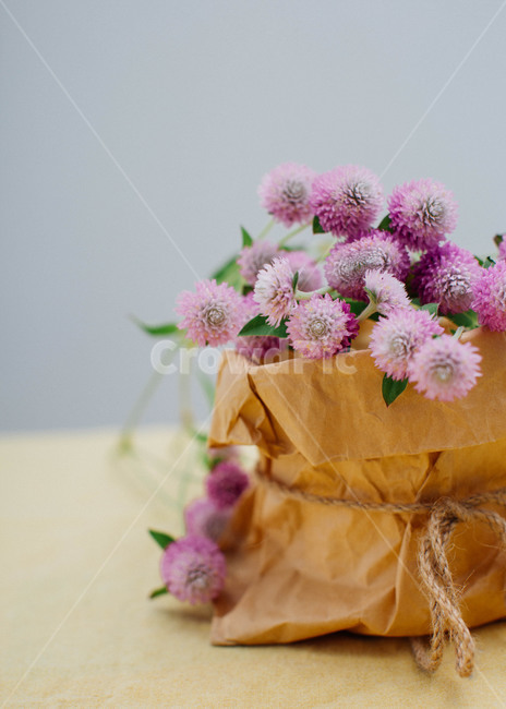 꽃,천일홍,flower,보라색,보라빛,자연,예쁜,아름다운꽃,꽃,flower