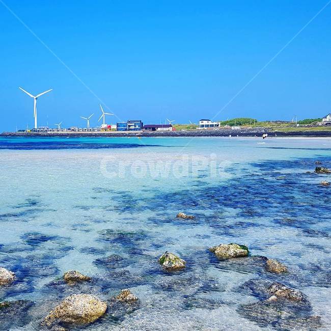ocean,nature,자연,water,옥외,sea,바다,제주도