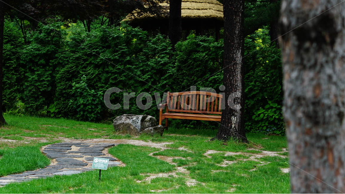 가평,숲,풍경,아침고요,수목원,자연,풍경,nature,landscape,bench,벤치,plant,식물