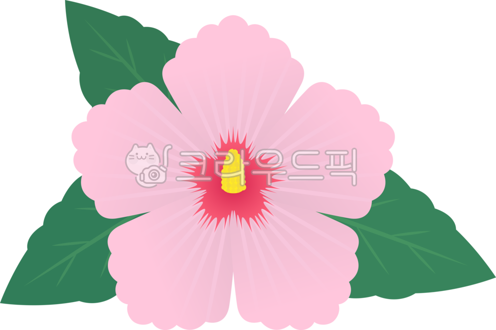 patriotic,symbol,icon,Independence Movement Day,Liberation Day,Memorial Day,independence movement,petal,Chrysanthemum,graphic,love of country,National Foundation Day,png,national holiday,flower,Rose of Sharon,Veterans Affairs,illustration,simbol