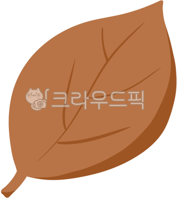 단풍나무,가을나무,가을,단풍,단풍잎,fall,나뭇가지,잎,잎사귀,가을분위기