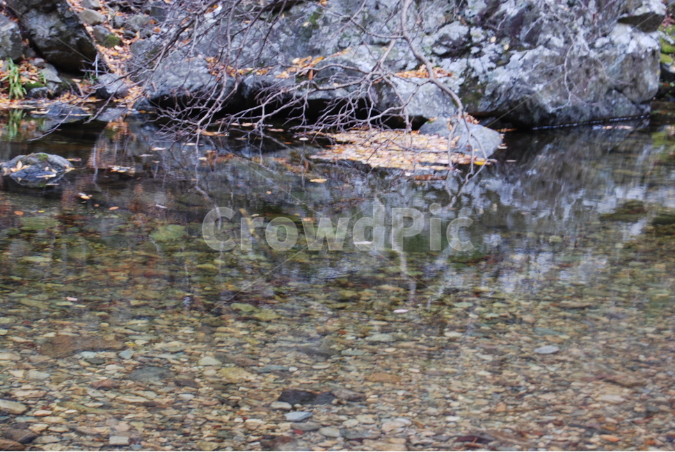내연산,100대명산,자연,물,돌,자연,풍경,nature,landscape,outdoors,옥외,land,땅