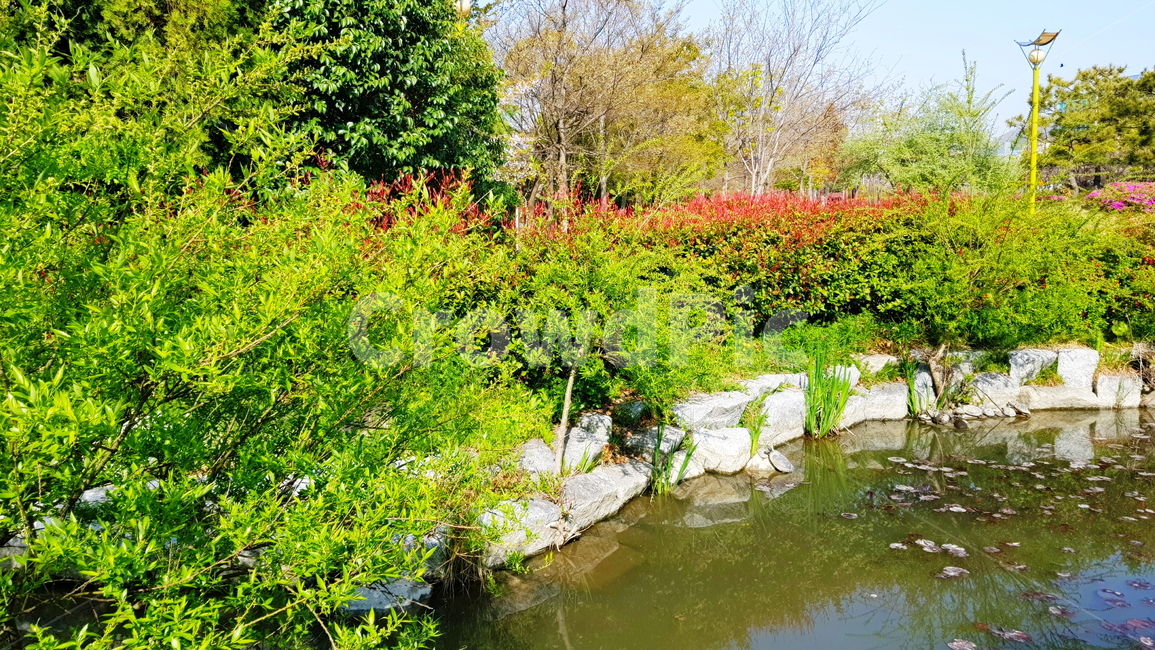 연못,정원,호수,풍경,자연,자연,풍경,nature,landscape,water,물,outdoors,옥외