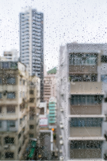 비,창문,도시,건물,우울,빗물,rain,raining,비,비오는날,rain,rainy