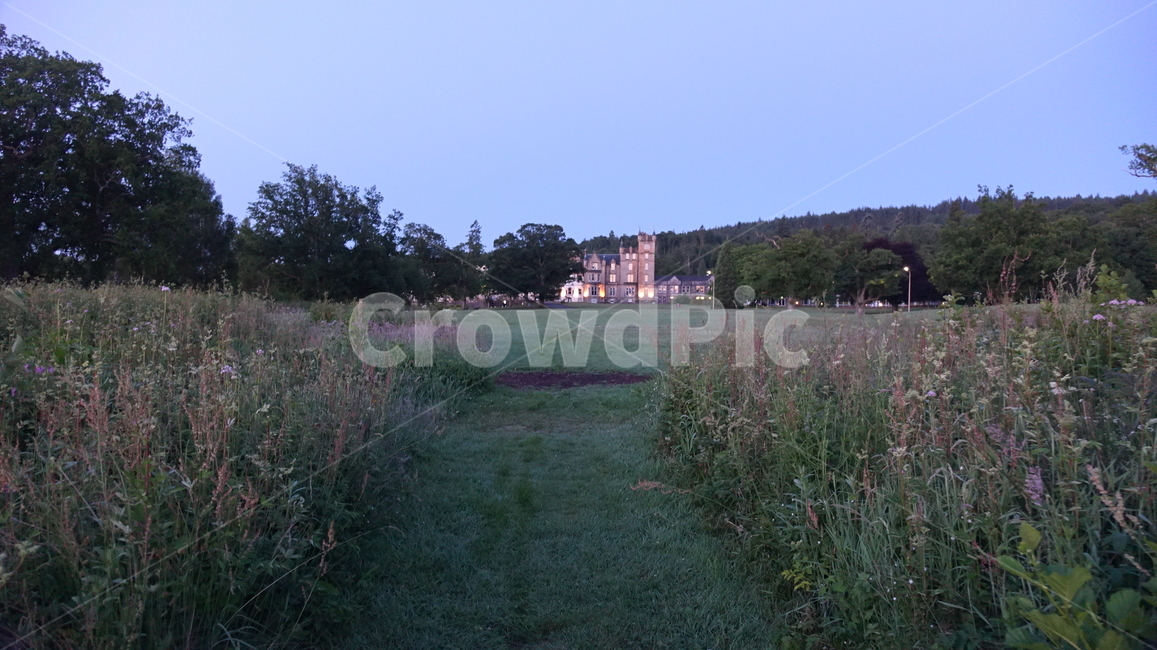 자연,nature,green,lake,dawn,일출,갈대숲,초원,벌판,성,영국
