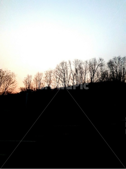 자연,노을배경,실루엣,silhouette,outdoors