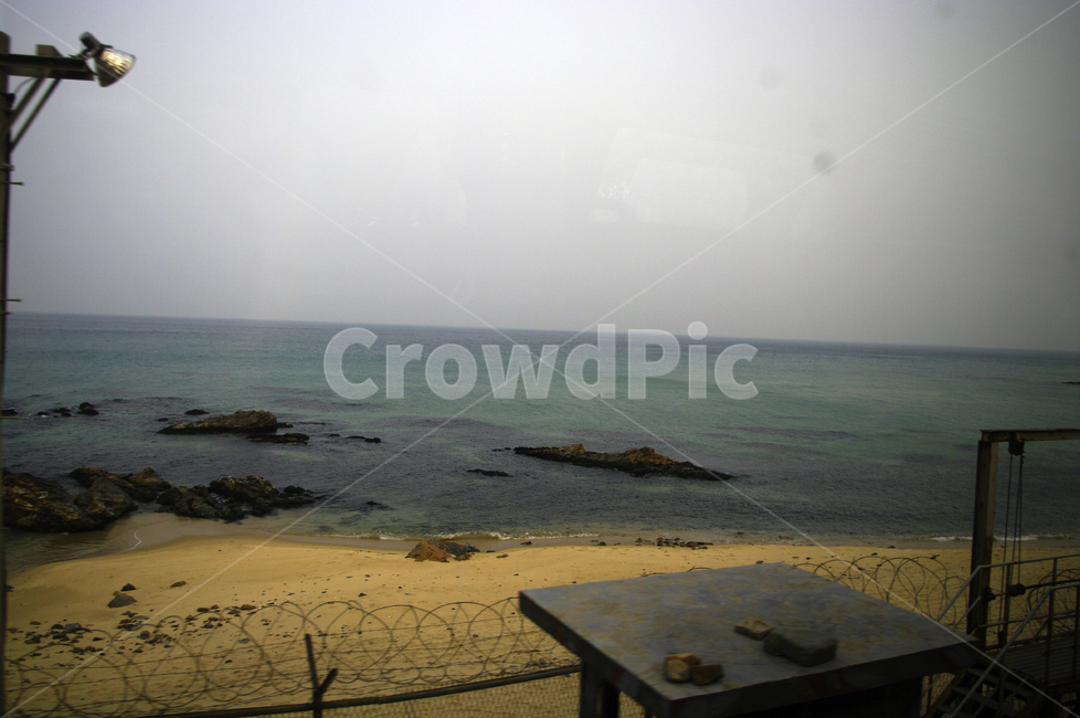 풍경,자연,나무,하늘,nature,해안선,sea,바다,ocean