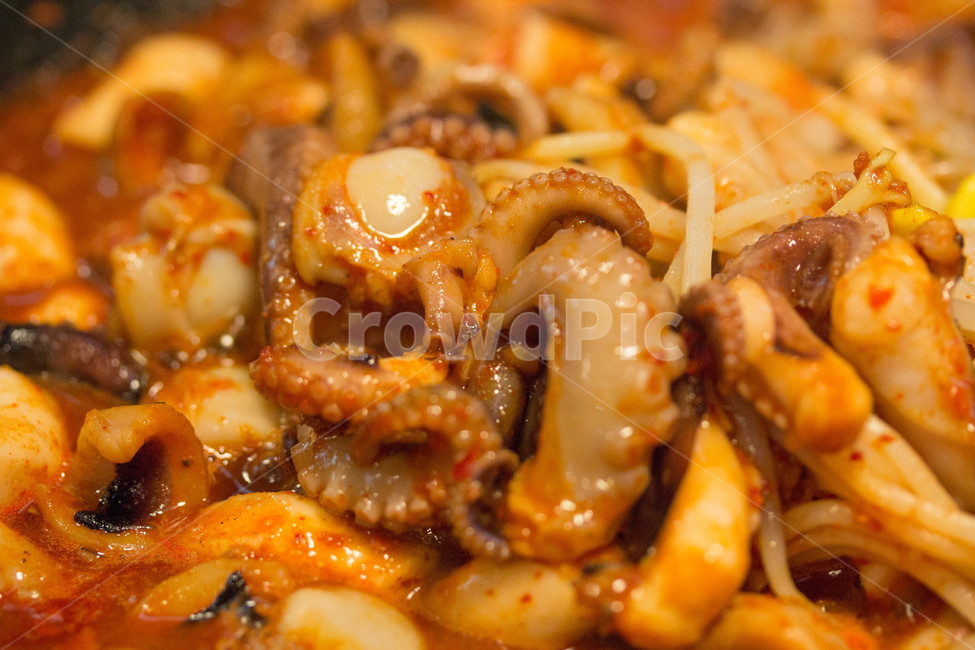 음식,food,양념,낙지요리,낙지,콩나물,한국요리,매운음식,음식,식재료,요리,food,cook,meal,dishes,food reserves
