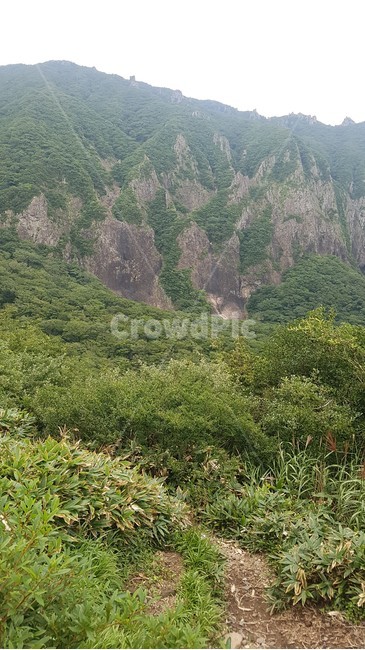 자연,나무,제주도,한라산,영실,풍경,숲,돌,자갈,바위,야외,들판,언덕,시야,view,hill,sky,협곡,능선,날씨,하늘,구름,등산,산책,다리,길,도로,식물,공간,자연풍경,정상,초록,잔디,green,흙,안개,자연,풍경,nature,landscape,tree,plant,fir,전나무