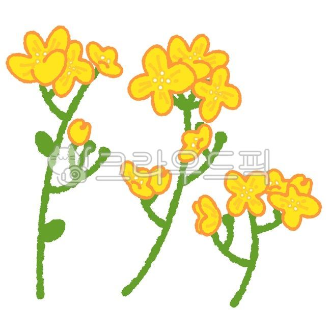 꽃,봄꽃,봄,노란꽃,노란색,꽃봉오리,개나리,유채꽃,꽃다발,풀잎,일러스트,그림,손그림,울퉁불퉁,라인일러스트