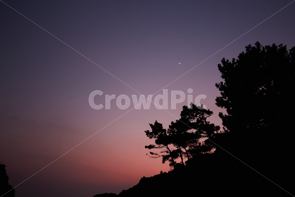 제주도,노을,저녁,하늘,감성사진,자연,풍경,nature,landscape,실루엣,그림자,silhouette,shadow,outdoors,옥외
