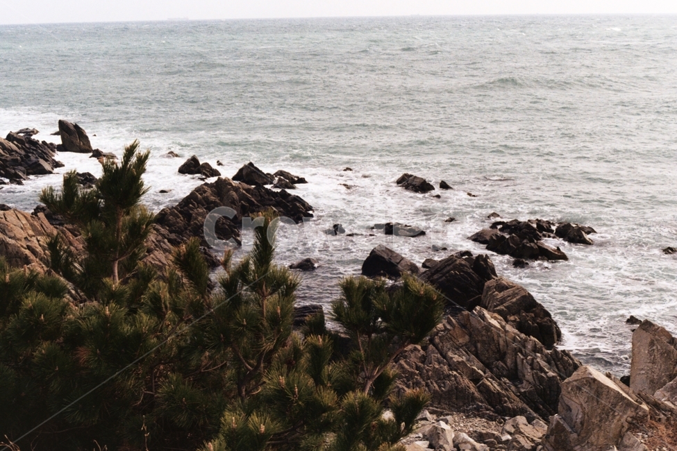 간절곶,울산,울산간절곶,바다,자연,울산바다,필름,필름카메라,자연,풍경,nature,landscape,promontory,곶