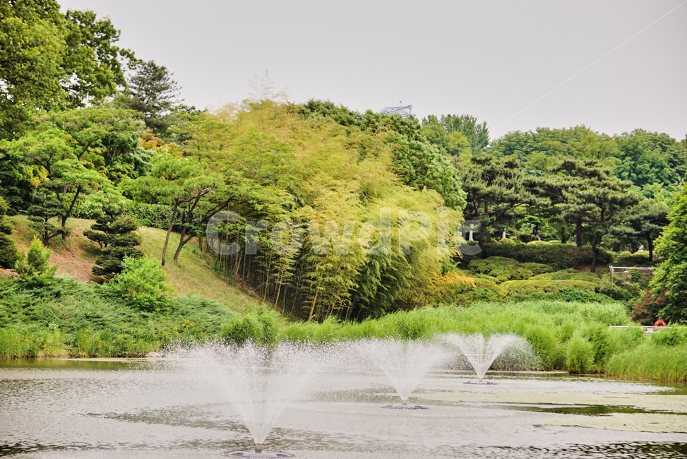 분수,풍경,올림픽공원,park,호수,Fountain,Lake,nature