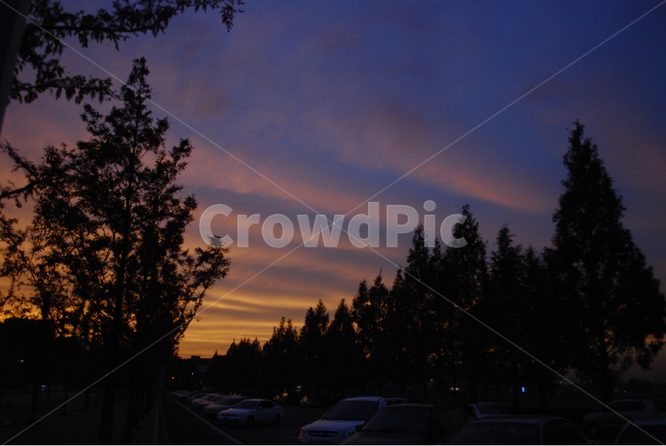 야경,구름,나무,노을,하늘,sunset,sky