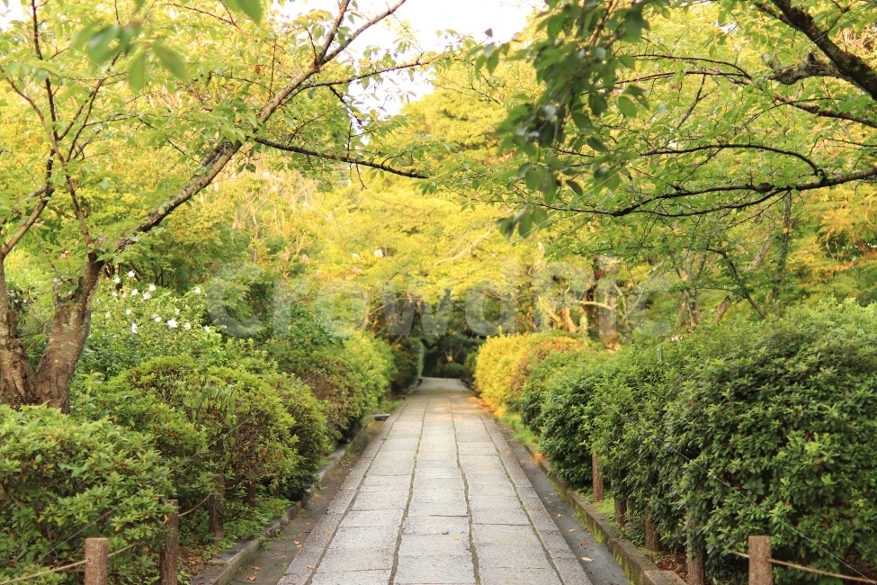 일본,교토,골목길,오사카여행,여행사진,자연,풍경,nature,landscape,outdoors,옥외,garden,정원,arbour,정자