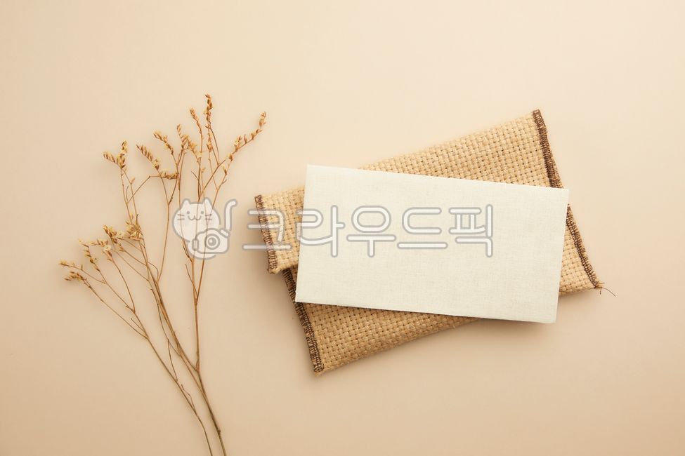 축하,꽃집,빈티지,아름다움,식물,햇빛,스타일,마른,흰색,집,가을,인테리어,갈색,황금색,말린꽃,자연,꽃,디자인,복사공간,파스텔,시즌,프레임,카드,기념일,배경,베이지색,장식,잎,배너,나뭇가지,질감,로맨틱,플로리스트,보태니컬,미니멀celebration,modern,vintage,beauty,plant,sunlight,style,dry,white,home,fall,interior,autumn,brown,beautiful,nature,flower,floral,decoration,design,pastel,season,frame,card,anniversary,background,beige,leaf,banner,texture,natural,backdrop,romantic,botanical,minimal