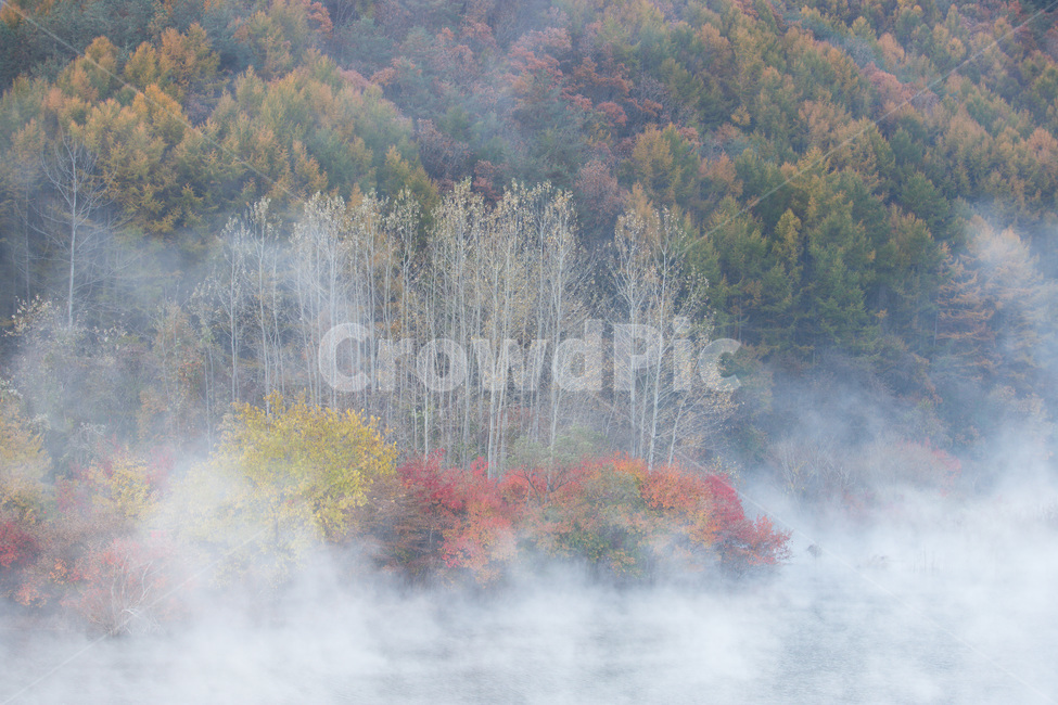 용담댐,물안개,반영,단풍,water,물,풍경,가을,계절,fall,autumn,season