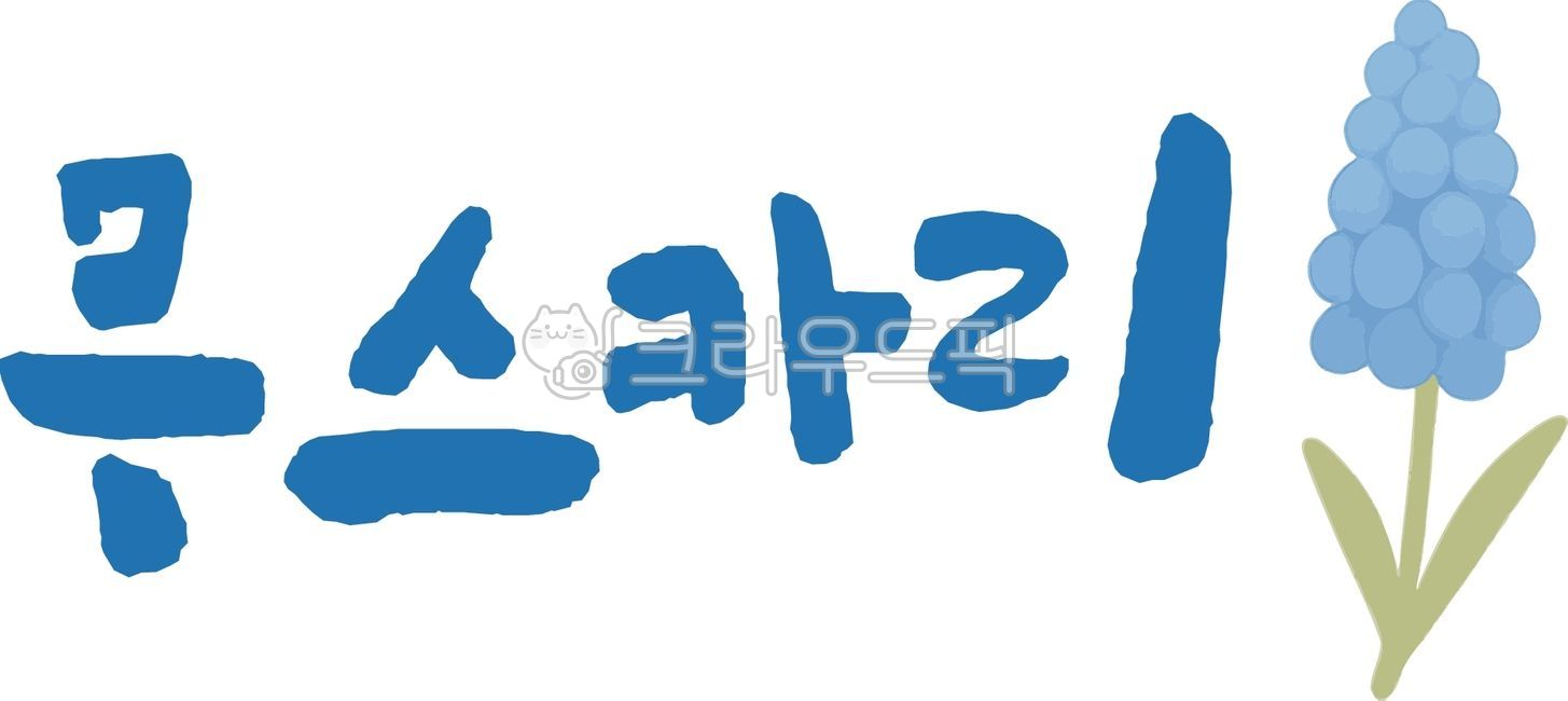 꽃,꽃이름,식물,자연,캘리그라피,캘리그래피,캘리,손글씨,붓글씨,무스카리