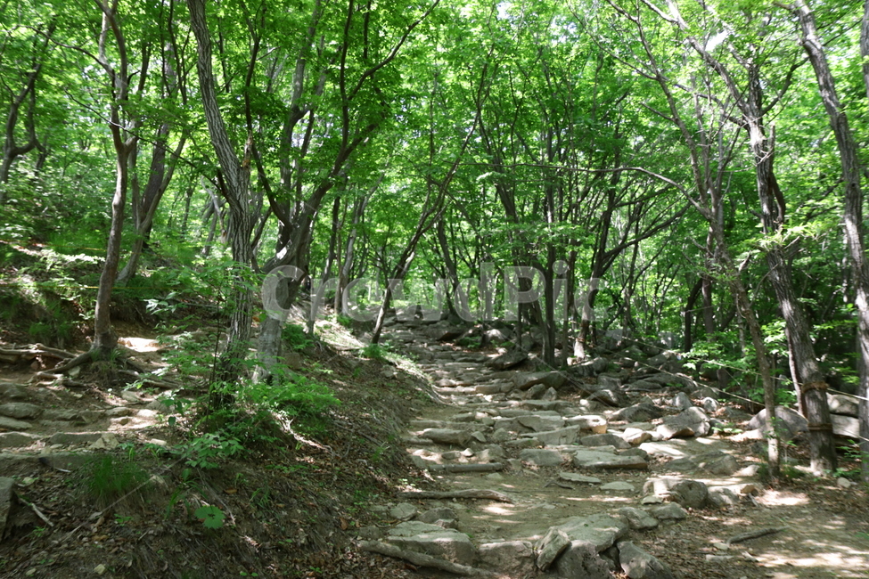 동문,범어사,등산로,산,금강산