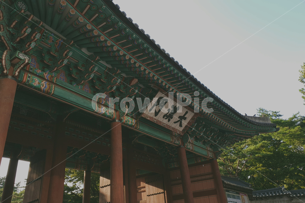 한옥,전통,대한문,독립,korea,웅장한,전통적인,을지로,조선시대,조선,신비로운,오래된건축물,고전적인,koreatraditionalbuilding,koreaculture,choseon,choseondynasty