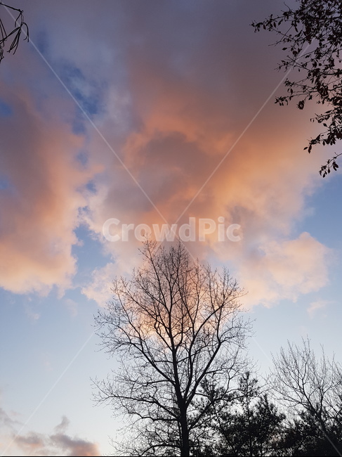 하늘,핑크노을,노을,자연,weather,nature